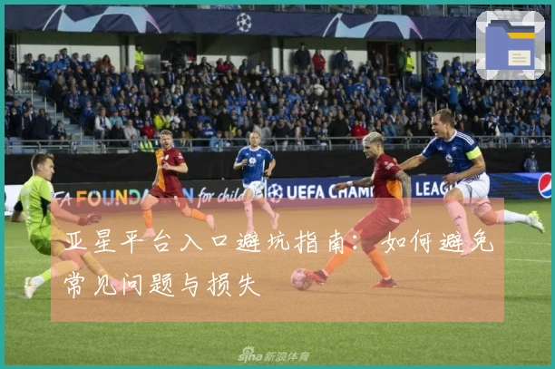 亚星平台入口避坑指南：如何避免常见问题与损失