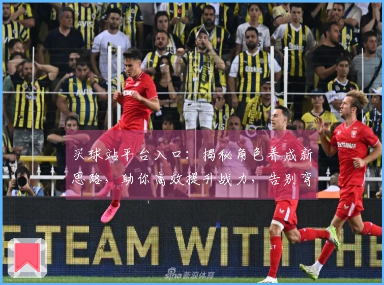 买球站平台入口:揭秘角色养成新思路,助你高效提升战力,告别弯路