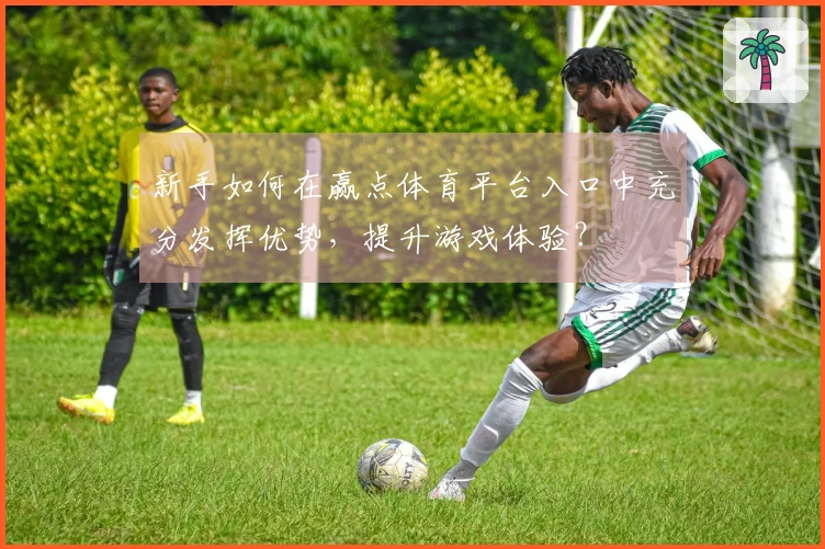 新手如何在赢点体育平台入口中充分发挥优势，提升游戏体验？